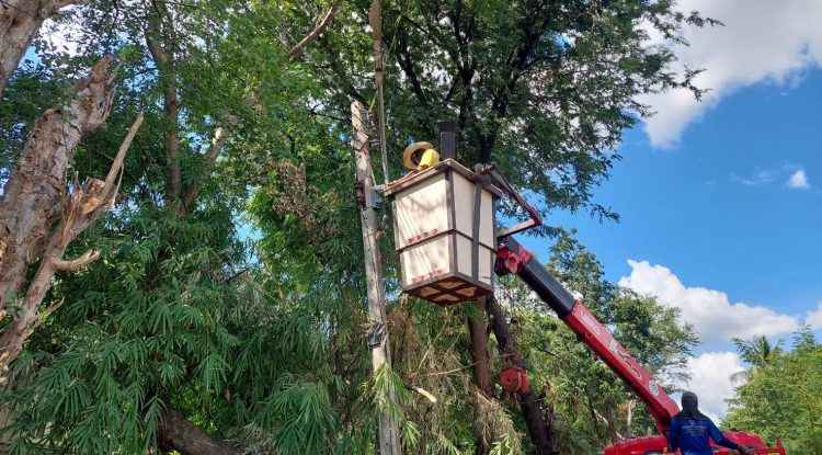 วันที่ 6 พฤศจิกายน 2566 นายชัยรัตน์ กิตติหิรัญวัฒน์ นายกเทศมนตรีตำบลตลาดแค มอบหมายให้เจ้าหน้าที่เทศบาลตำบลตลาดแค ดำเนินการติดตั้งโคมไฟฟ้าส่องสว่าง LED บริเวณถนนซอย 2 ชุมชนหนามแดง ม.12 อำเภอโนนสูง จังหวัดนครราชสีมา