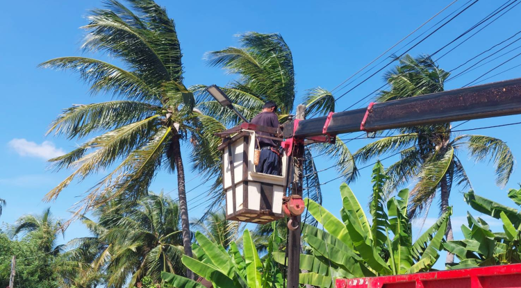 วันที่ 16 พฤศจิกายน 2566 นายชัยรัตน์ กิตติหิรัญวัฒน์ นายกเทศมนตรีตำบลตลาดแค มอบหมายให้เจ้าหน้าที่เทศบาลตำบลตลาดแค ดำเนินการติดตั้งโคมไฟฟ้าส่องสว่าง LED บริเวณถนนเทศบาล ซอย 7 ชุมชนตลาดแคตะวันออกฝั่งเหนือ หมู่ 15 อำเภอโนนสูง จังหวัดนครราชสีมา