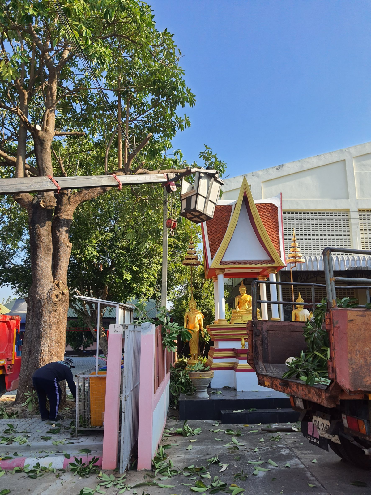 วันที่ 8 มกราคม 2567 นายชัยรัตน์ กิตติหิรัญวัฒน์ นายกเทศมนตรีตำบลตลาดแค มอบหมายให้เจ้าหน้าที่เทศบาลตำบลตลาดแคดำเนินการปรับปรุงภูมิทัศน์สถานศึกษา ตามหนังสือขอความอนุเคราะห์จากเทศบาลตลาดแค  อำเภอโนนสูง จังหวัดนครราชสีมา