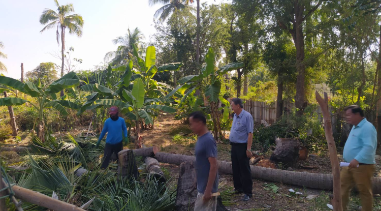 วันที่ 10 มกราคม 2567 นายชัยรัตน์ กิตติหิรัญวัฒน์ นายกเทศมนตรีตำบลตลาดแค ลงพื้นที่ควบคุมเจ้าหน้าที่เทศบาลตำบลตลาดแค ดำเนินการปรับปรุงภูมิทัศน์ บริเวณถนนเทศบาลซอย7/4 หมู่ 15 ชุมชนตลาดแคตะวันออกฝั่งเหนือ อำเภอโนนสูง จังหวัดนครราชสีมา