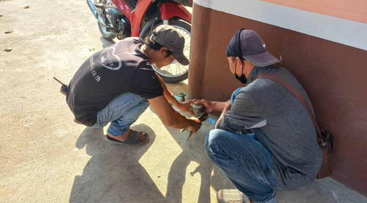 วันที่ 20 กุมภาพันธ์ 2567 นายชัยรัตน์ กิตติหิรัญวัฒน์ นายกเทศมนตรีตำบลตลาดแค มอบหมายให้เจ้าหน้าที่เทศบาลตำบลตลาดแค ลงพื้นที่ดำเนินการตรวจสอบระบบน้ำประปา  บริเวณพื้นที่หมู่ที่ 1 และหมู่ 12 ตำบลธารปราสาท อำเภอโนนสูง จังหวัดนครราชสีมา