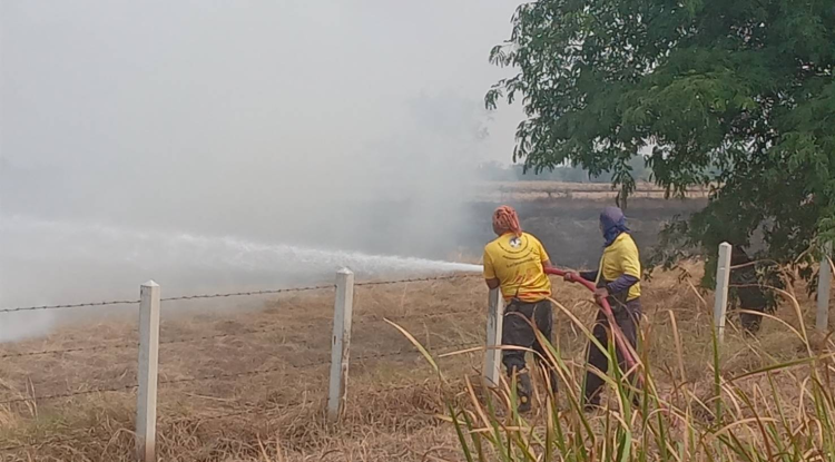 วันที่ 18 มีนาคม 2567  เวลา 13.05 น. งานป้องกันฯ เทศบาลตำบลตลาดแคพบกลุ่มควัน จึงออกตรวจสอบพื้นที่ พบเหตุไฟไหม้หญ้าและตอซังข้าว พื้นที่การเกษตร  กำลังลุกลามเข้าพื้นที่สิ่งปลูกสร้าง (รีสอร์ท) บริเวณใกล้ จุดยูเทิร์นกลับรถ (ป้ายใหญ่ อีซูซุ) หมู่ที่15 ชุมชนตลาดแคตะวันออก       นายชัยรัตน์ กิตติหิรัญวัฒน์  นายกเทศมนตรีตำบลตลาดแค ได้สั่งการให้เจ้าหน้าที่งานป้องกันและบรรเทาสาธารณภัย จำนวน 9 นาย นำรถน้ำออกระงับเหตุเพลิงไหม้ที่เกิดเหตุร่วมกับผู้นำชุมชน   สามารถควบคุมเพลิงให้อยู่ในวงจำกัดได้ เวลา 15.20 น. 