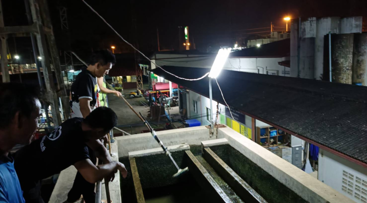 วันที่ 21 มีนาคม 2567 นายชัยรัตน์ กิตติหิรัญวัฒน์ นายกเทศมนตรีตำบลตลาดแค มอบหมายให้เจ้าหน้าที่เทศบา่ลตำบลตลาดแค ดำเนินการล้างถังตกตะกอน ป.2 เพื่อให้พี่น้องประชาชนได้ใช้น้ำระบบประปาที่สะอาด 