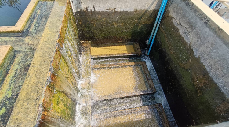 วันที่ 29 มีนาคม  2567 นายชัยรัตน์ กิตติหิรัญวัฒน์ นายกเทศมนตรีตำบลตลาดแค มอบหมายให้เจ้าหน้าที่เทศบาลตำบลตลาดแค  ได้ดำเนินการล้างหน้าทราย โรงผลิดน้ำประปา (ป.2)  เพื่อให้น้ำประปาสะอาดและปลอดภัยสำหรับประชาชนผู้ใช้น้ำของเทศบาลตำบลตลาดแค