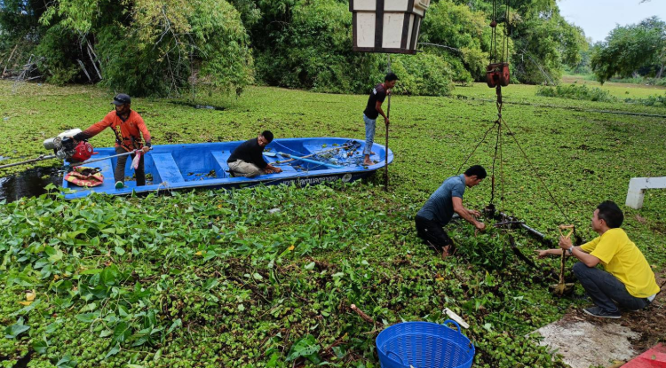 วันที่ 7 พฤศจิกายน 2567 นายชัยรัตน์ กิตติหิรัญวัฒน์ นายกเทศมนตรีตำบลตลาดแค มอบหมายให้เจ้าหน้าที่เทศบาลตำบลตลาดแค  ดำเนินการ ปรับภูมิทัศน์ ทำแนวกั้นวัชพืช ท่าน้ำ เตรียมความพร้อม งานประเพณีลอยกระทง ประจำปี 2567  ณ วัดตลาดแค อำเภอโนนสูง จังหวัดนครราชสีมา