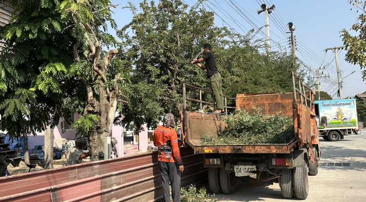 วันที่ 6 กุมภาพันธ์ 2568 นายชัยรัตน์ กิตติหิรัญวัฒน์ นายกเทศมนตรีตำบลตลาดแค มอบหมายให้เจ้าหน้าที่เทศบาลตำบลตลาดแค ดำเนินการปรับปรุงภูมิทัศน์ บริเวณชุมชนโนนพิมาน ตำบลธารปราสาท อำเภอโนนสูง จังหวัดนครราชสีมา