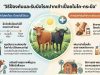 สาระน่ารู้ วิธีป้องกันและรับมือโรคปากเท้าเปื่อยในโค-กระบือ